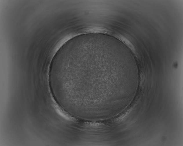 X0000089921039200707061015