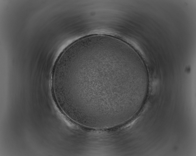 X0000089921040200707061015
