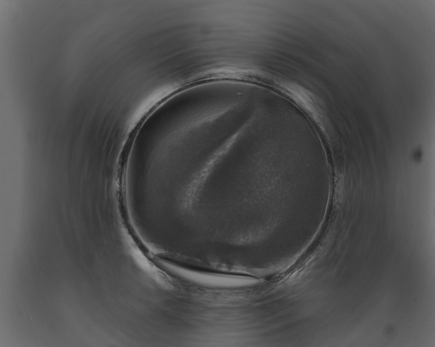X0000089921042200707061015