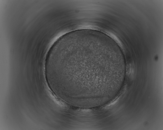 X0000089921043200707061015