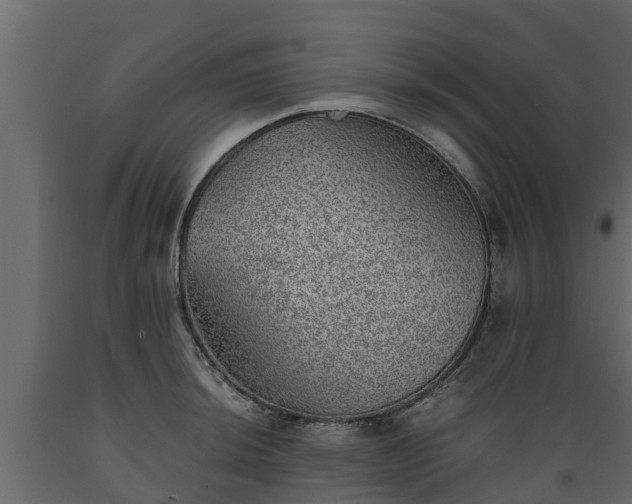 X0000089921044200707061015
