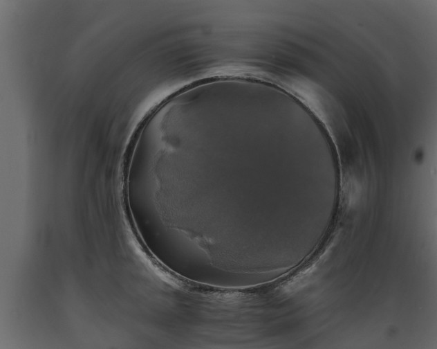 X0000089921045200707061015