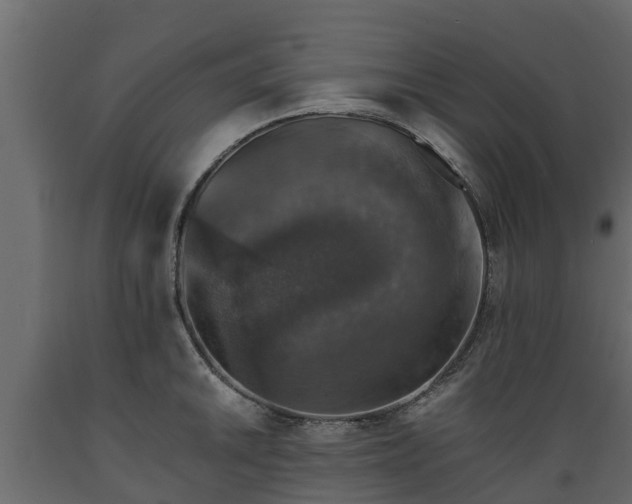 X0000089921046200707061015