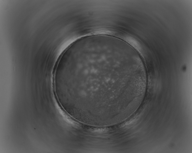 X0000089921047200707061015