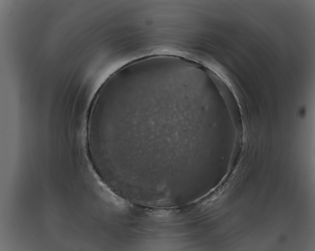 X0000089921048200707061015