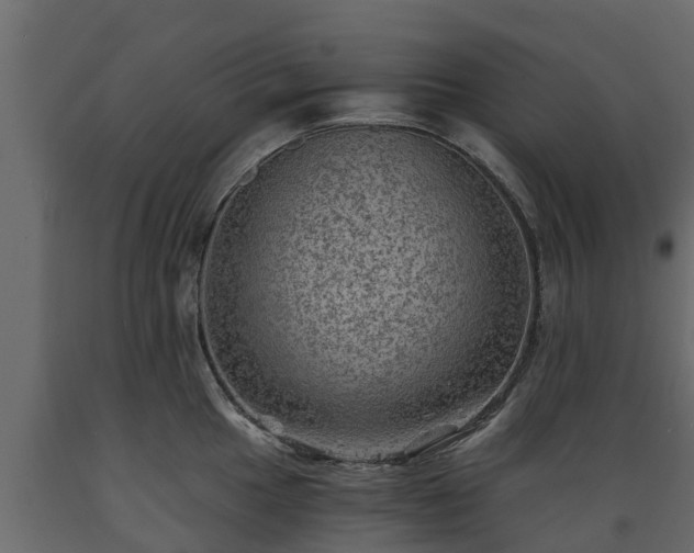 X0000089921049200707061015