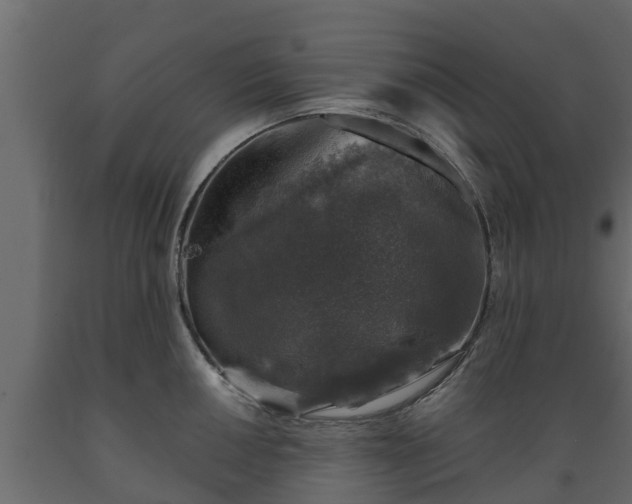 X0000089921050200707061015