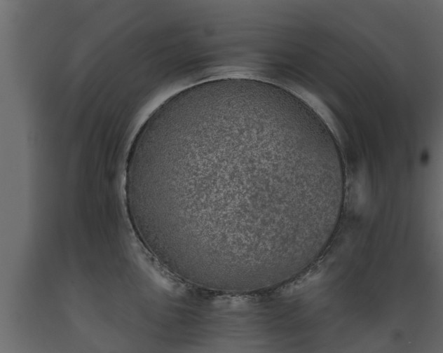 X0000089921051200707061015
