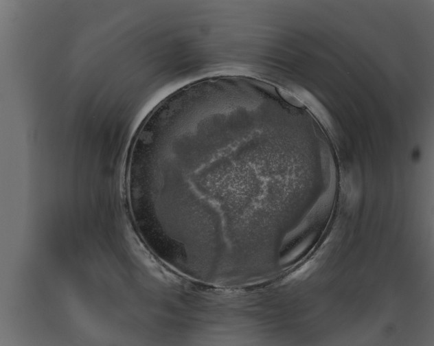 X0000089921052200707061015