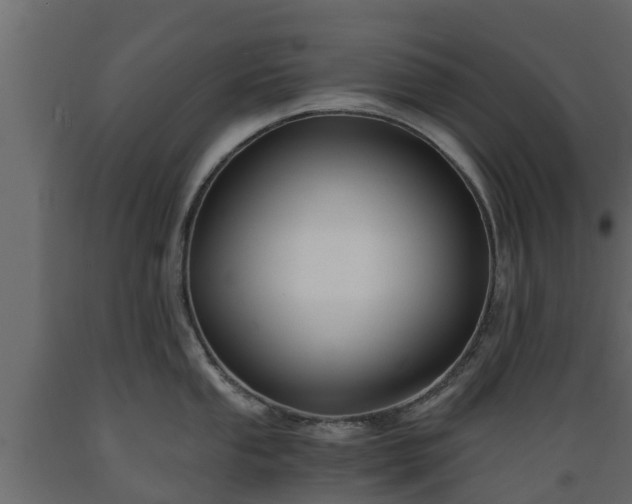 X0000089921053200707061015