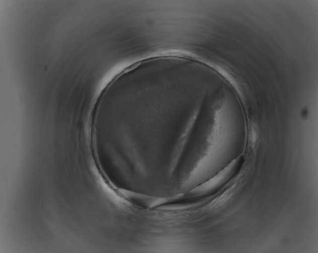 X0000089921054200707061015
