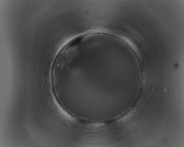 X0000089921055200707061015
