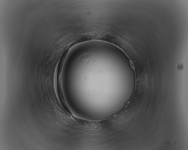 X0000089921058200707061014