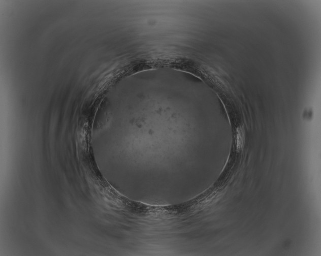 X0000089921059200707061014