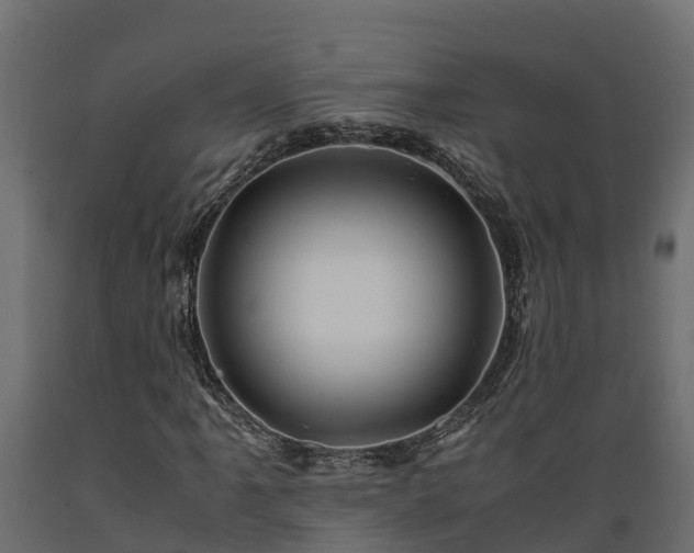 X0000089921061200707061014