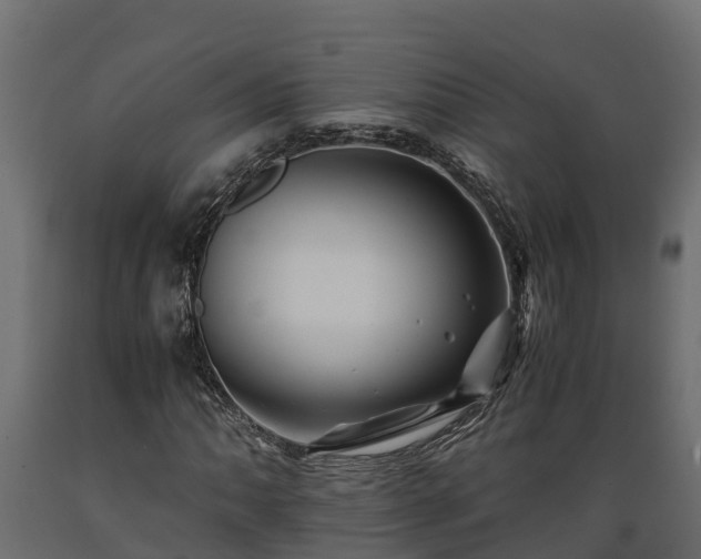 X0000089921062200707061014