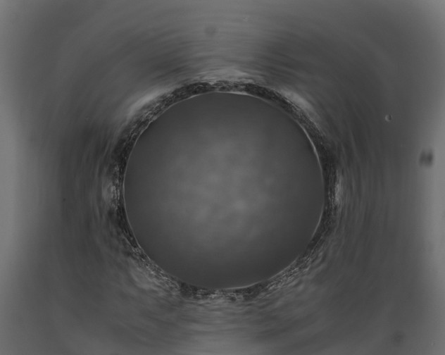 X0000089921063200707061014