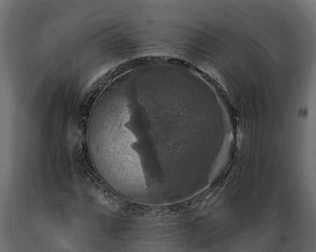 X0000089921064200707061014