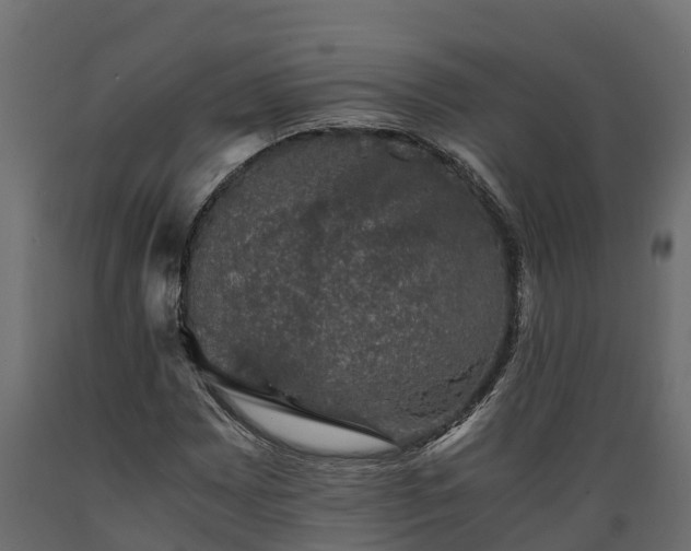X0000089921065200707061014