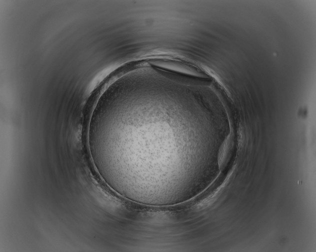 X0000089921066200707061014