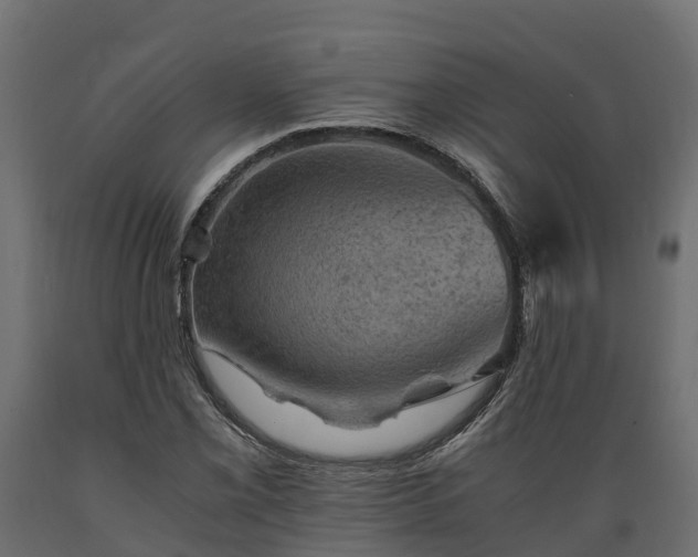 X0000089921069200707061014