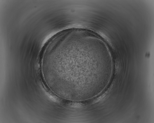 X0000089921070200707061014