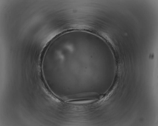 X0000089921071200707061014