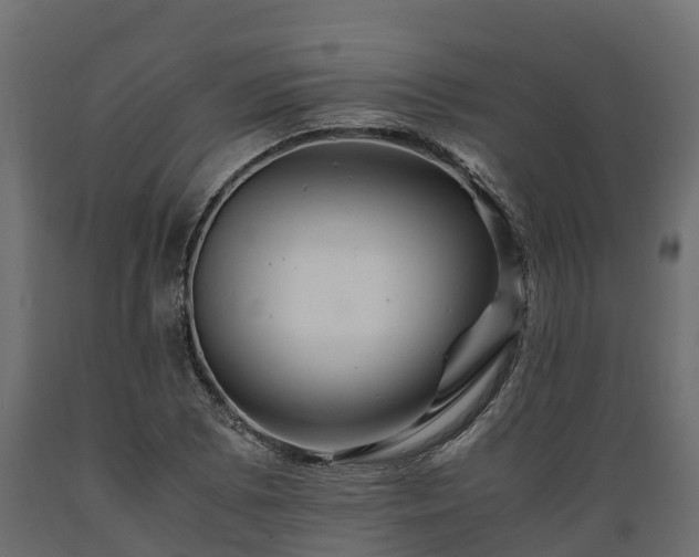 X0000089921073200707061014
