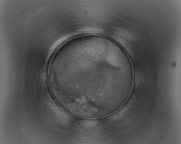 X0000089921074200707061014