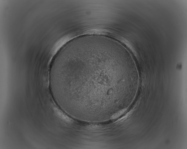 X0000089921075200707061014