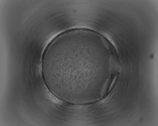 X0000089921076200707061014