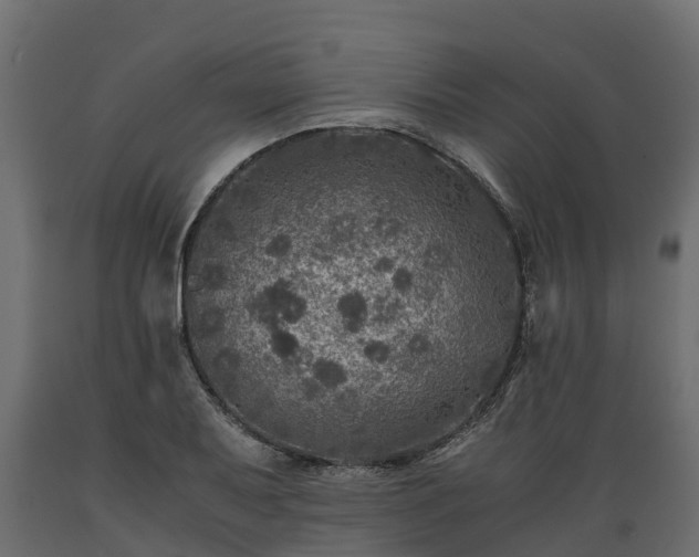 X0000089921079200707061014