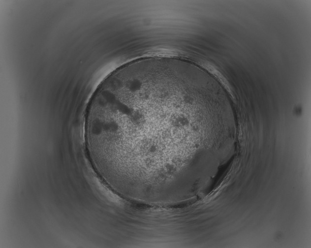 X0000089921083200707061014