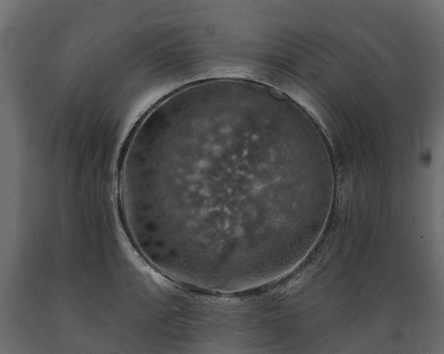 X0000089921088200707061014
