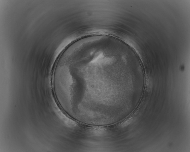 X0000089921090200707061014