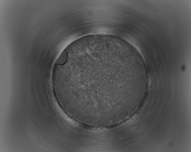 X0000089921091200707061014