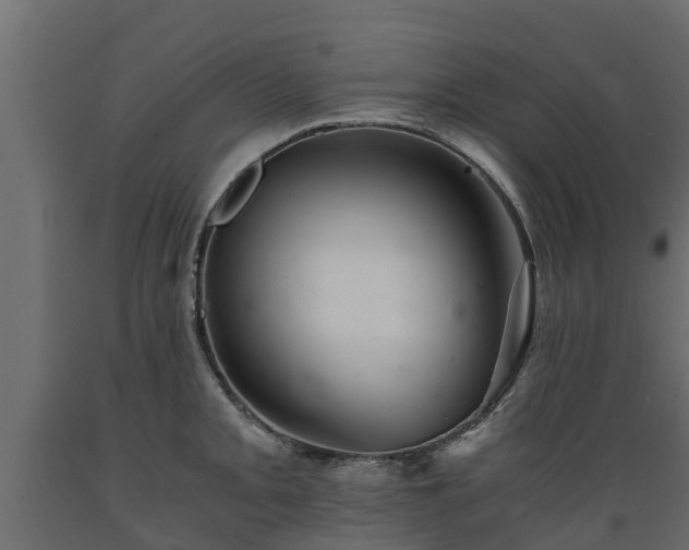 X0000089921093200707061014