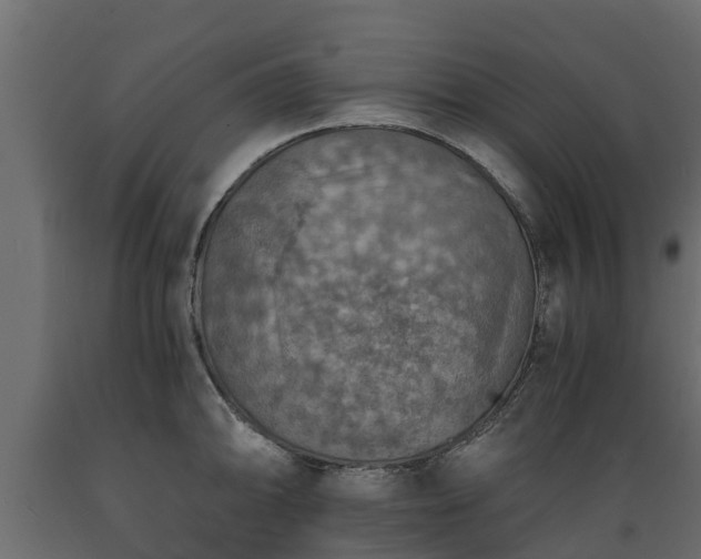 X0000089921094200707061014