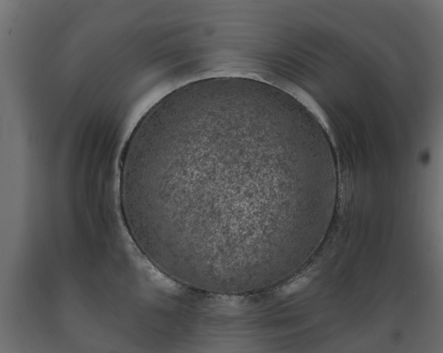 X0000089921096200707061014