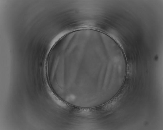 X0000089921098200707061014