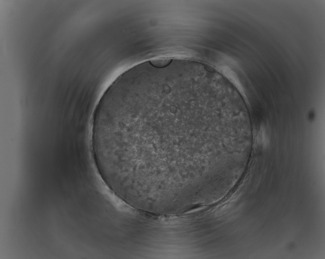 X0000089921099200707061014