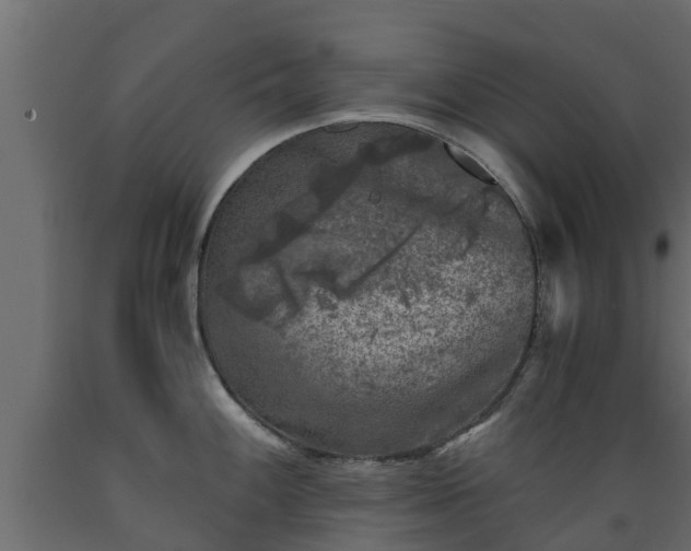 X0000089921100200707061014