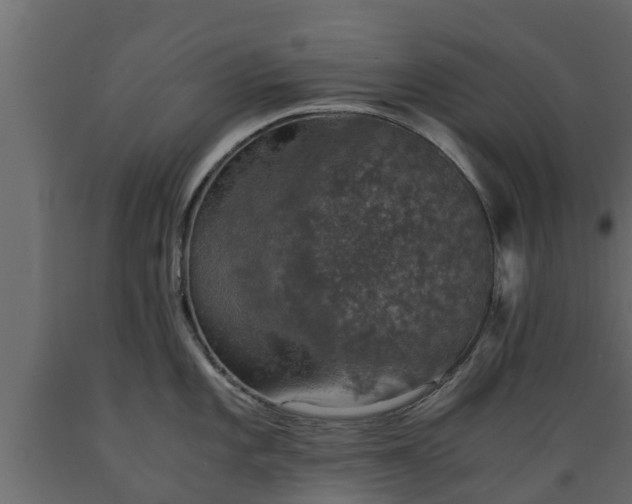 X0000089921101200707061014