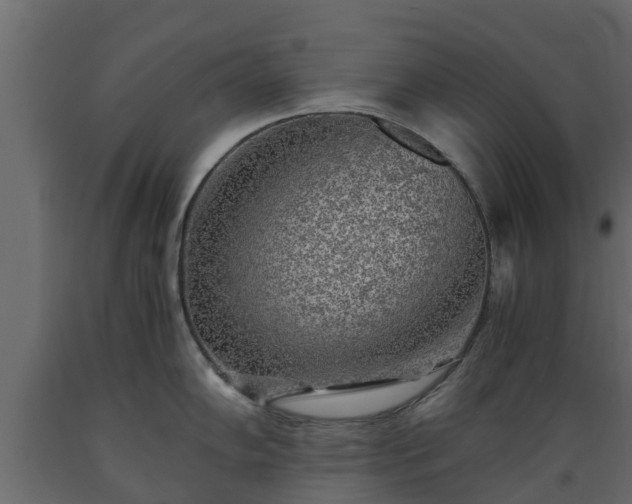 X0000089921102200707061014