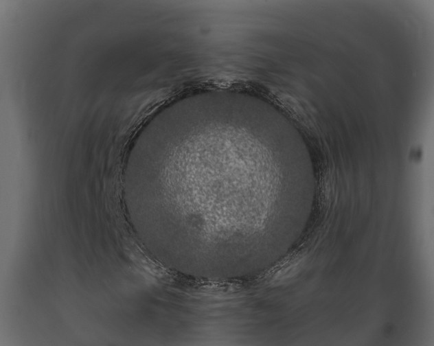 X0000089921105200707061013