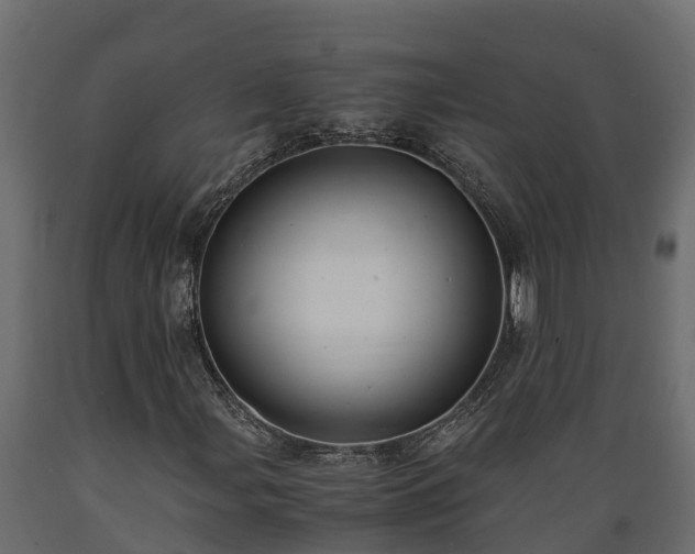 X0000089921107200707061013