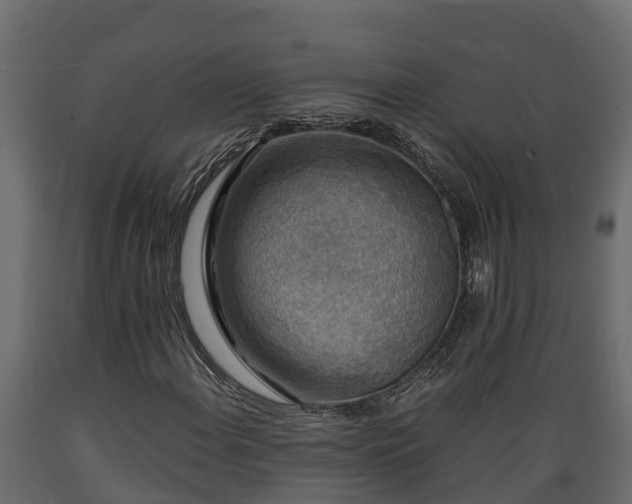 X0000089921108200707061013