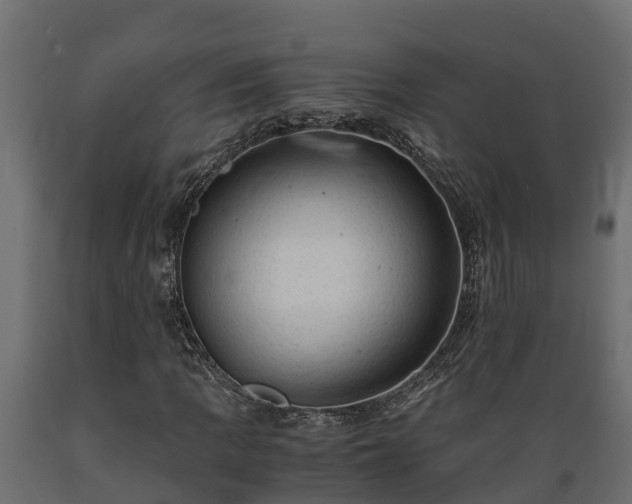 X0000089921109200707061013