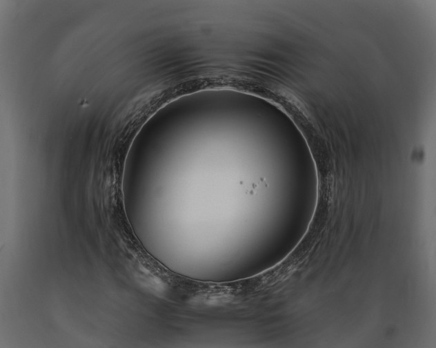 X0000089921111200707061013