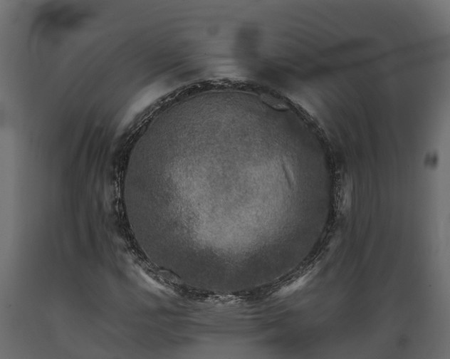 X0000089921112200707061013
